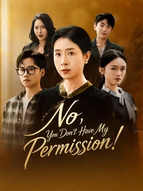 No You Don T Have My Permission