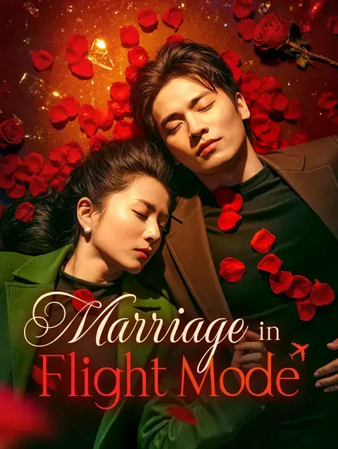 Marriage in Flight Mode