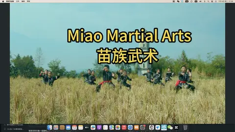Miao Martial Arts