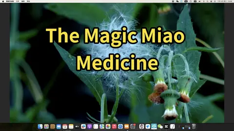 The Magic Miao Medicine