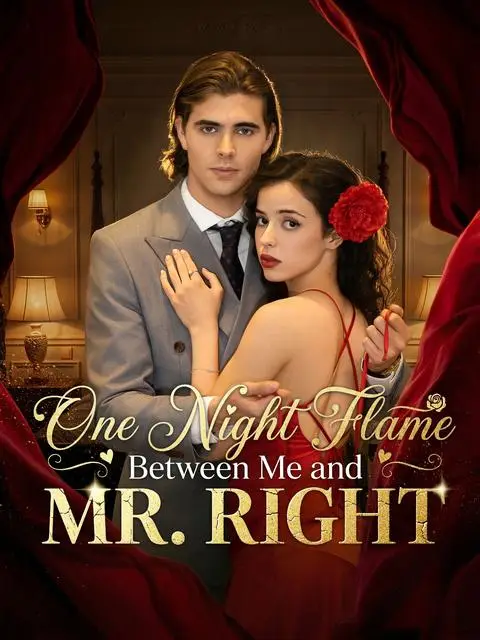 One Night Flame Between Me And Mr Right