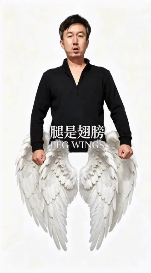 LEG WINGS