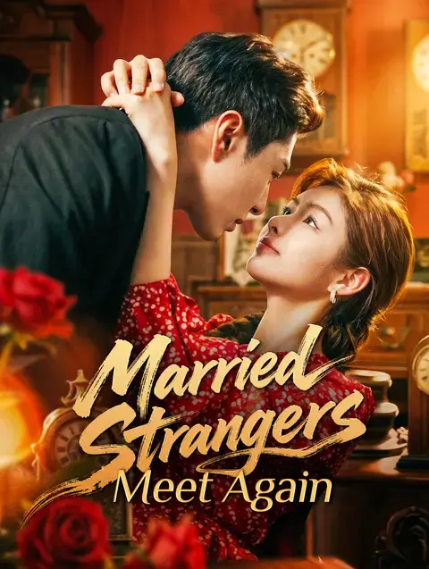 Married Strangers Meet Again