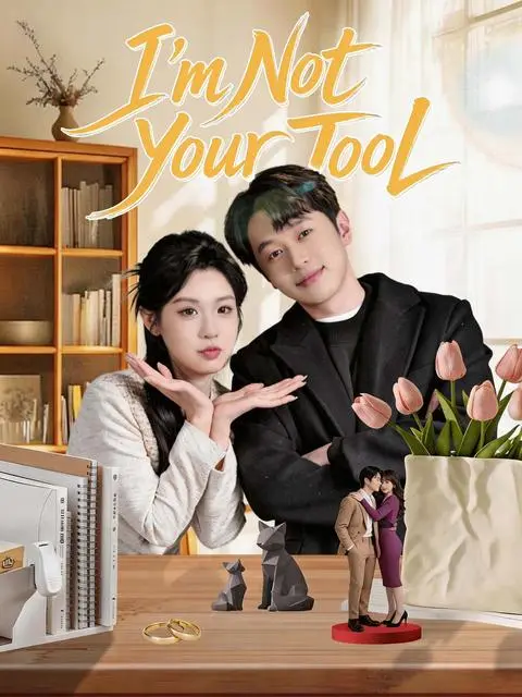 I M Not Your Tool